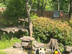 -扬州市茱萸湾风景区