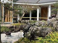 -东方艺术博物馆