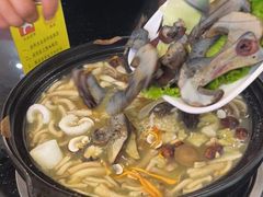 -草墩罗非鱼庄•野生菌•腊排骨(七星街上段店)