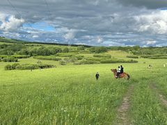 -塞罕坝国家级自然保护区