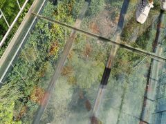 -浏阳石牛寨风景区