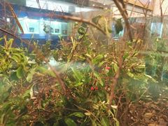 -上海昆虫博物馆