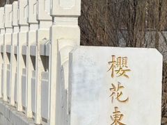 -元大都城垣遗址公园