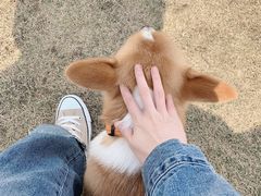 -星巴克(钦江路店)