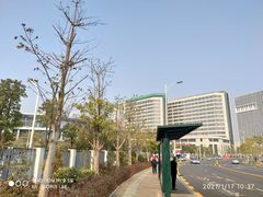 -深圳大学总医院