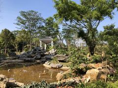 -东莞植物园