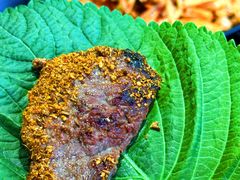 -啊美丽炭火烤肉(滑翔一店)