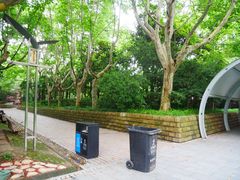 -人民公园-相亲角