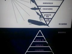 -同济大学四平路校区深海探索馆