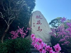 -桃花岛风景旅游区