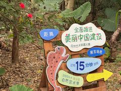 -华侨城湿地公园