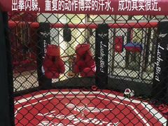 -金吉鸟健身游泳