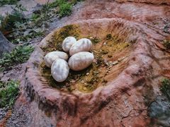 -湖南省地质博物馆