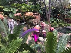 -奥兰多迪士尼动物王国乐园