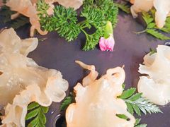 养颜深海鱼花胶-煲宫猪肚鸡(晶品店)