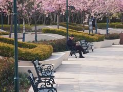 -新江湾城公园