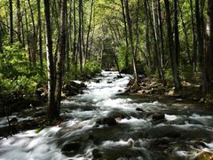 -叠溪松坪沟景区