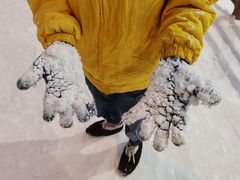-世界之窗阿尔卑斯冰雪世界