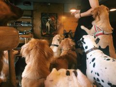 -萌喵咖啡屋(人民东路4号口M16商铺店)