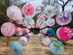 -南宁良凤江国家森林公园