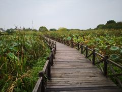 -梁鸿国家湿地公园