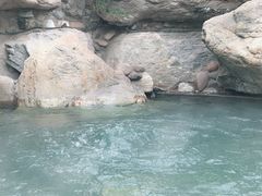 -仁爱团泊湖温泉中心