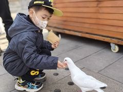 -天津妈祖文化园