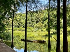 -深圳仙湖植物园