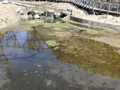 -白水寺森林公园