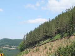 -塞罕坝国家级自然保护区