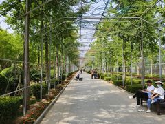 -南宫五洲植物乐园