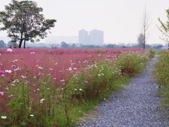-汉长安城未央宫国家考古遗址公园