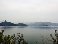 -望湖烤鱼