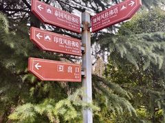 -洛阳白马寺