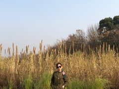 -盘龙城国家考古遗址公园