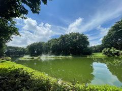 -广州长隆飞鸟乐园