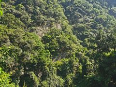 -鼎湖山风景区