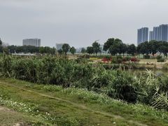 -光明小镇欢乐田园