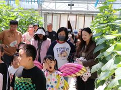 -北戴河集发农业梦想王国