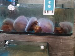 -金海湾海鲜总店