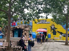 -朝阳公园游乐园