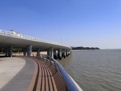 -演武大桥观景平台