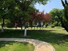 -黑石礁公园
