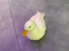 -极木²邸 人与宠物·互动社区