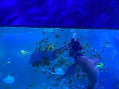 -常州海昌海洋探索馆