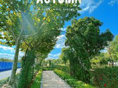 -上海山野camping·户外天幕烧烤·团建拓展营地