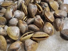 -圣罗巴海鲜烤肉自助(佳兆业店)