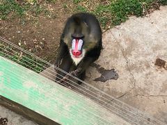 -西安秦岭野生动物园