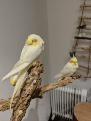 -Zoolung Zoolung动物主题公园(海信广场店)