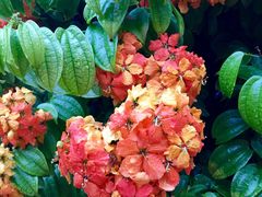 -文龙国际健身院